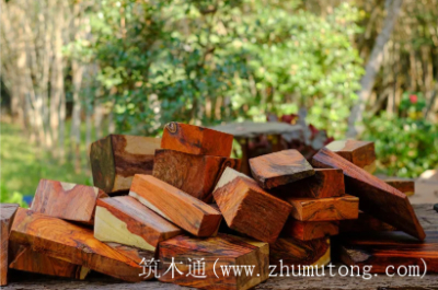 木材基础知识19--梨木